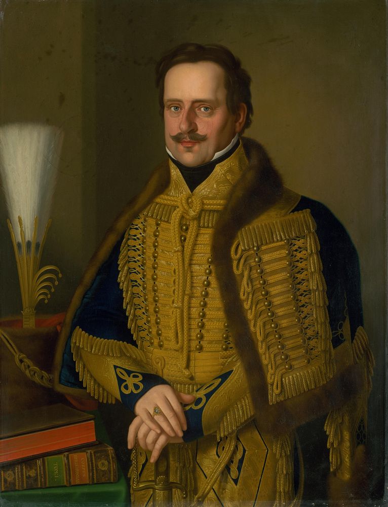 Portrait of spiš župan count karol csáky