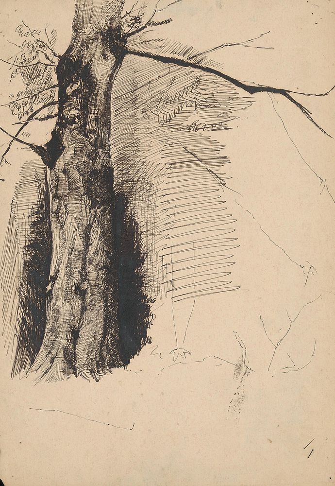 Tree stump study by Ladislav Mednyánszky