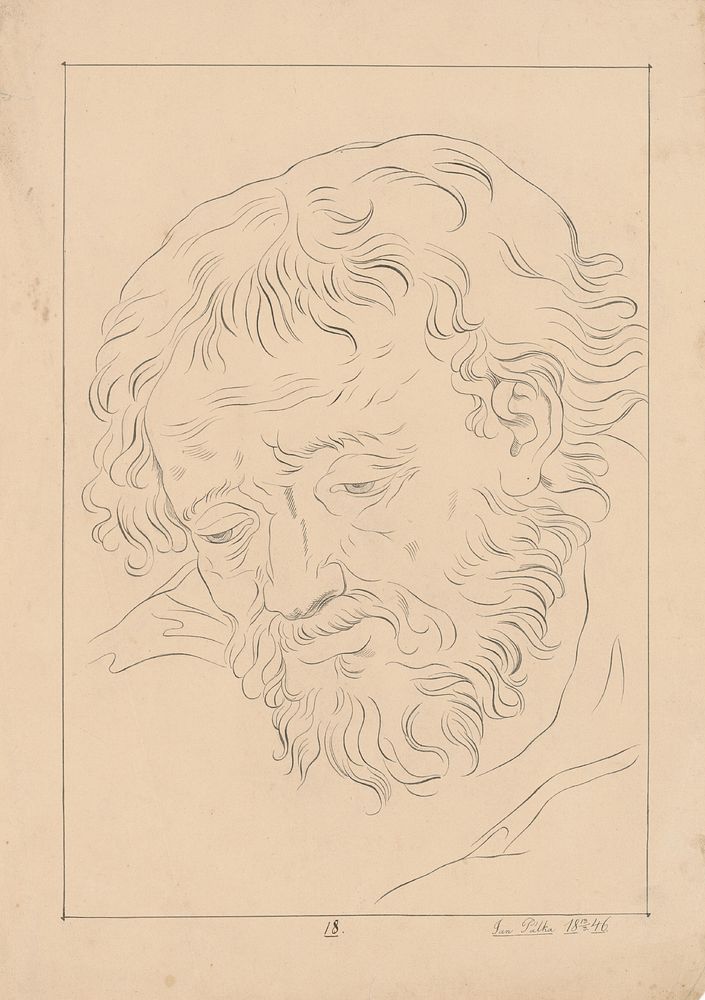 Portrait study of a man with beard