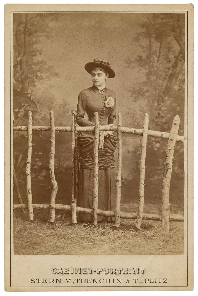 Portrait of a young woman with a fence (ella v. ventura)