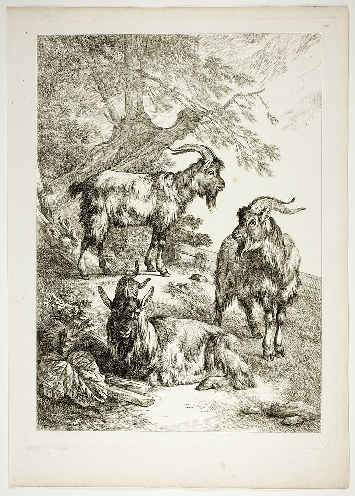 Plate Seventeen of 38 from Oeuvres de J. B. Huet by Jean Baptiste Huet