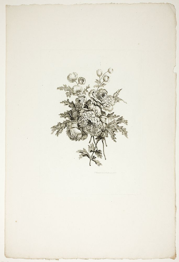 Bouquet with Peonies, from Collection of Different Bouquets of Flowers, Invented and Drawn by Jean Pillement and Engraved by…