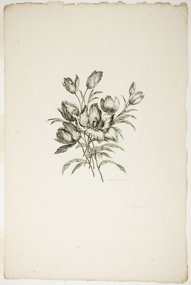 Bouquet with Tulips, from Collection of Different Bouquets of Flowers, Invented and Drawn by Jean Pillement and Engraved by…
