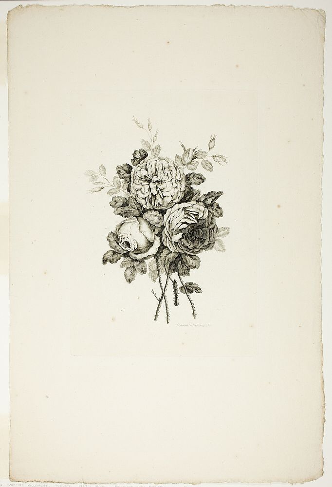 Bouquet with Roses, from Collection of Different Bouquets of Flowers, Invented and Drawn by Jean Pillement and Engraved by…