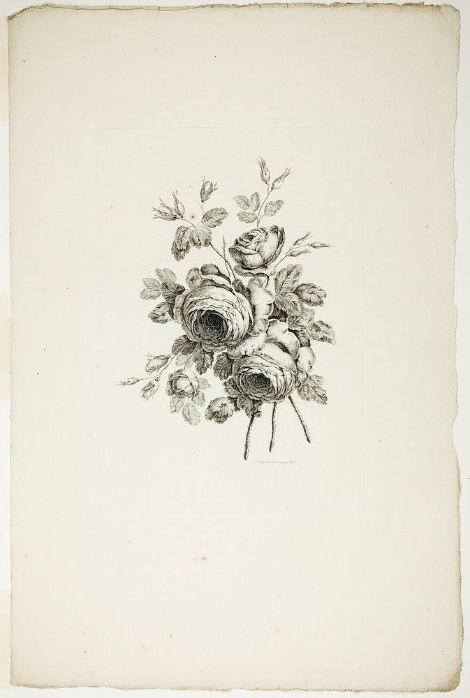 Bouquet with Roses, from Collection of Different Bouquets of Flowers, Invented and Drawn by Jean Pillement and Engraved by…