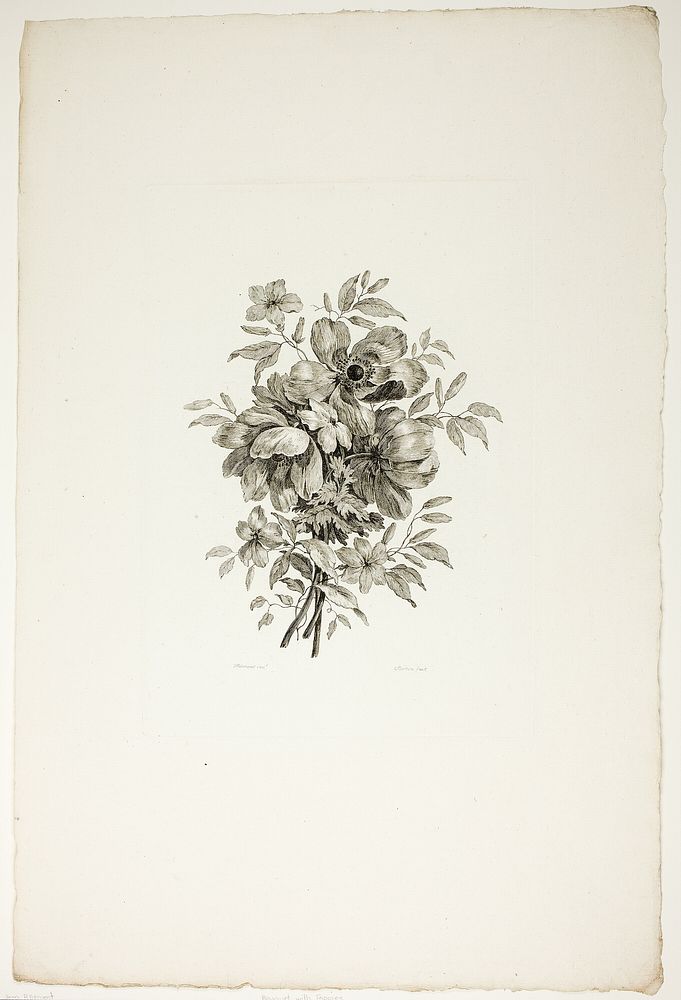 Bouquet with Poppies, from Collection of Different Bouquets of Flowers, Invented and Drawn by Jean Pillement and Engraved by…