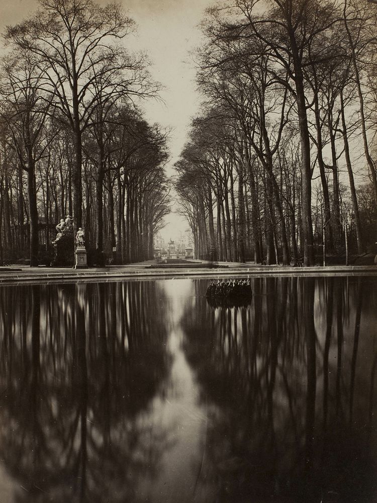 Untitled (Versailles) by Unknown