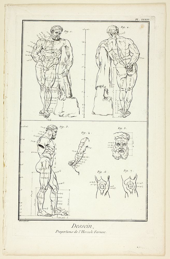 Design: Proportions of the Farnese Hercules, from Encyclopédie by Benoît-Louis Prévost