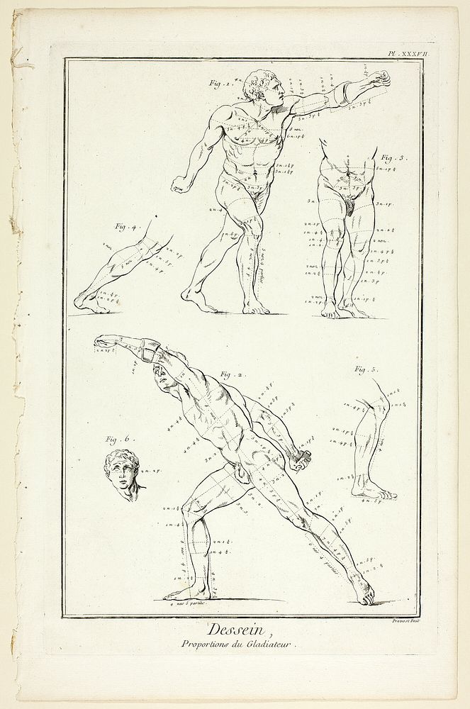 Design: Proportions of the Gladiator, from Encyclopédie by Benoît-Louis Prévost