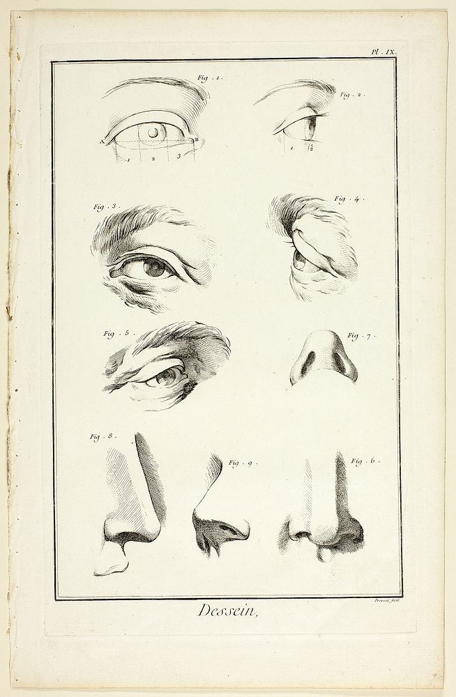 Design: Facial Anatomy from Encyclopédie by Benoît-Louis Prévost