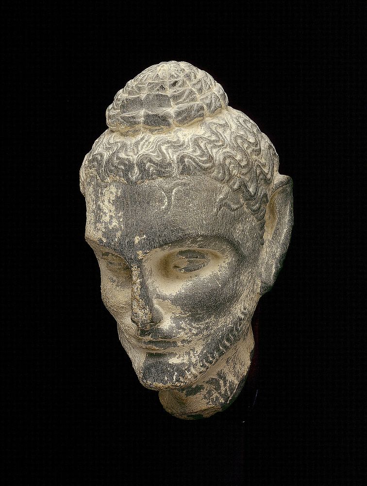 Head of Emaciated Siddhartha