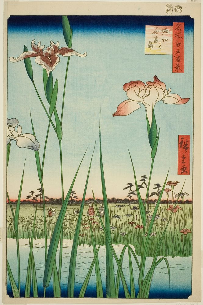 Irises at Horikiri (Horikiri no hanashobu), from the series "One Hundred Famous Views of Edo (Meisho Edo hyakkei)" by…