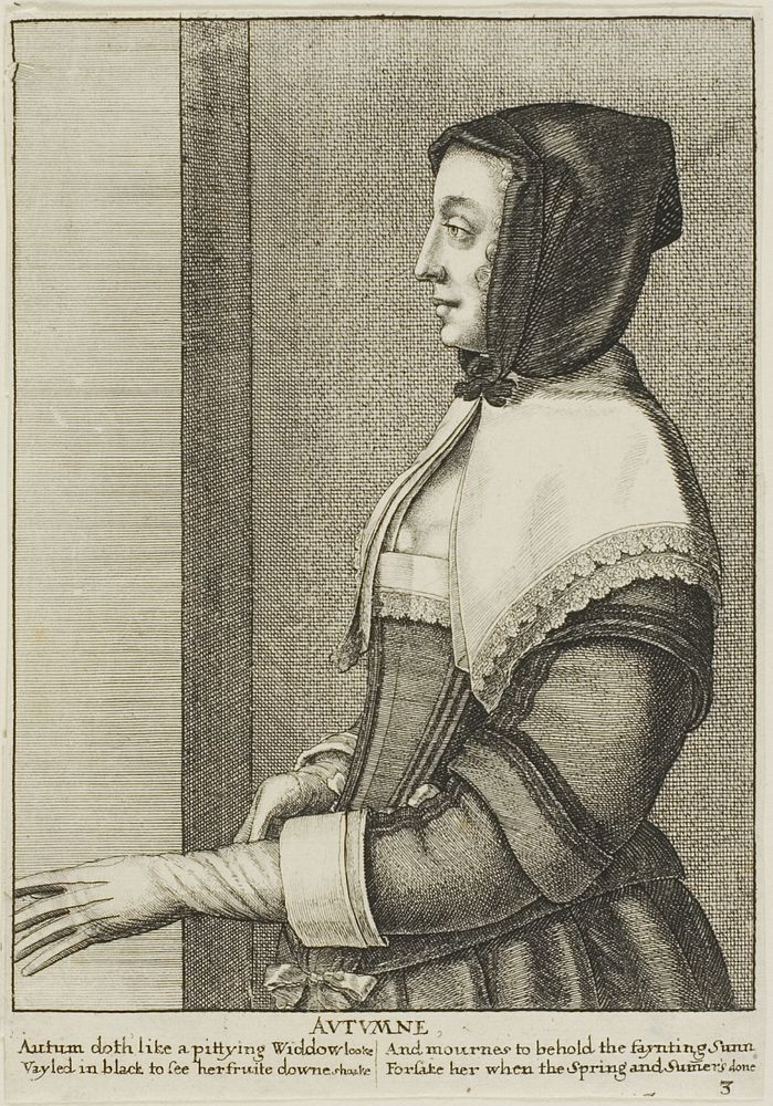 Autumn by Wenceslaus Hollar