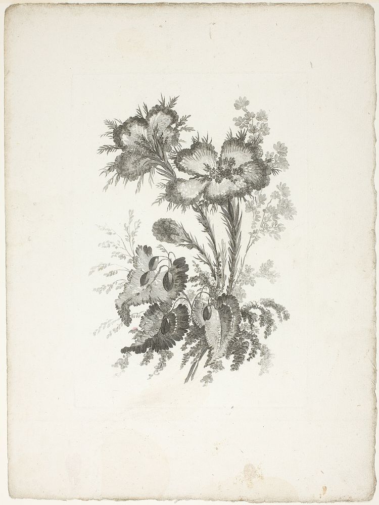Bouquet, from Collection of New Flowers of Taste for the Manufacture of Persian Cloth, Invented and Drawn by Jean Pillement…