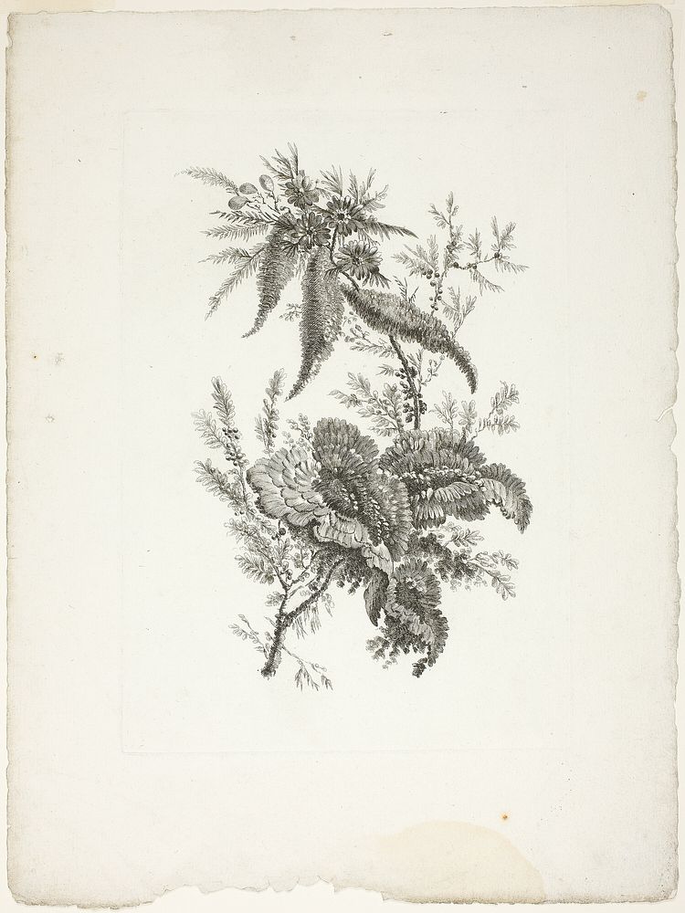 Bouquet, from Collection of New Flowers of Taste for the Manufacture of Persian Cloth, Invented and Drawn by Jean Pillement…