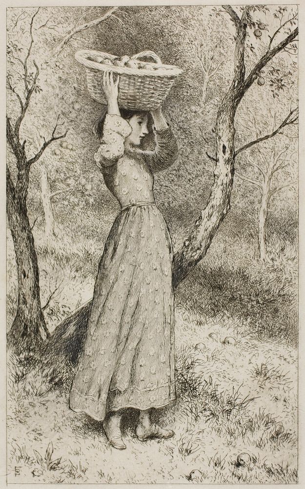 Young Girl in an Orchard with a Basket of Fruit by Myles Birket Foster