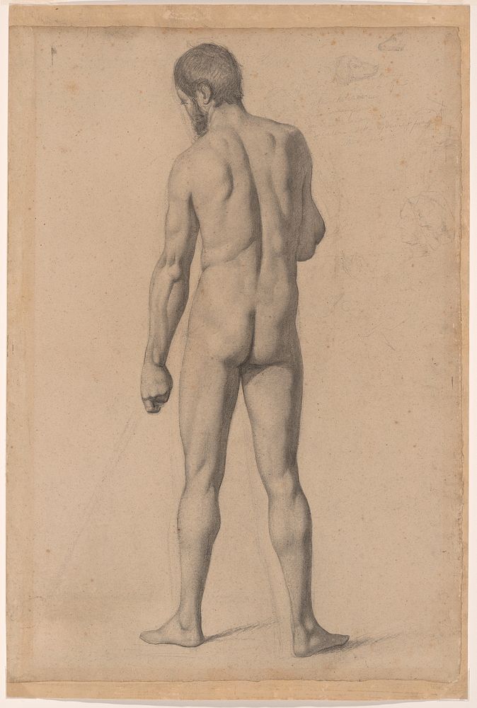 Academic Nude, Seen from the Back by Paul Cezanne