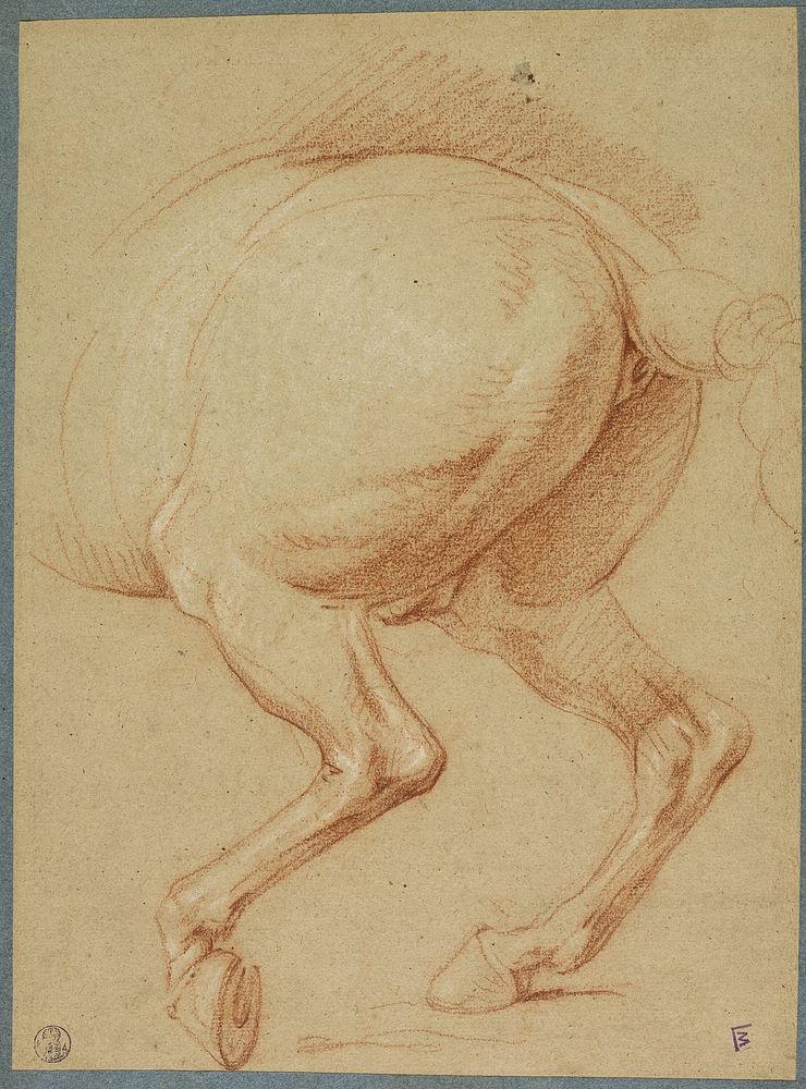 The Hind Legs of a Horse by Charles Le Brun