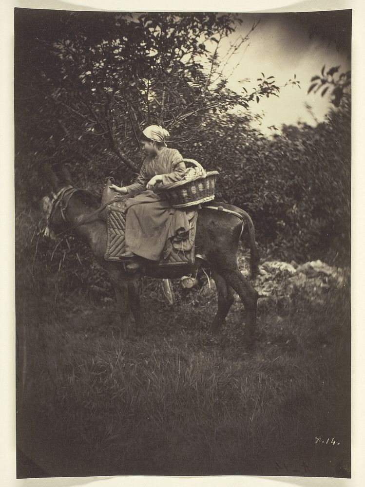 Female Peasant Riding Donkey by Giraudon's Artist