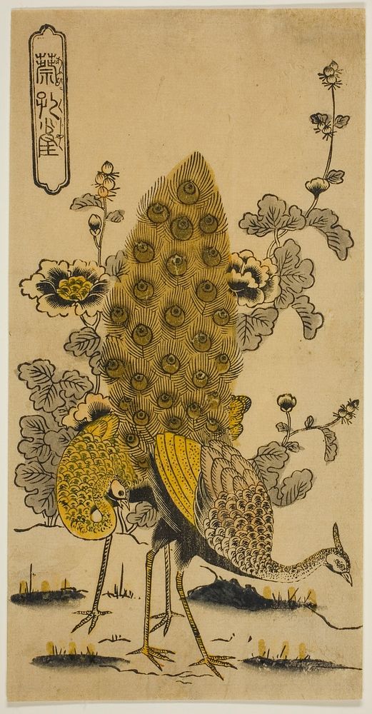 Hollyhocks and Peacocks (Aoi ni kujaku) by Nishimura Shigenobu