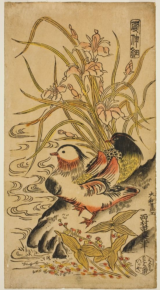 Mandarin Ducks, from the series "Kashinsai" by Nishimura Shigenaga
