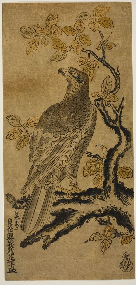 A Hawk on a Kiri Tree by Okumura Masanobu