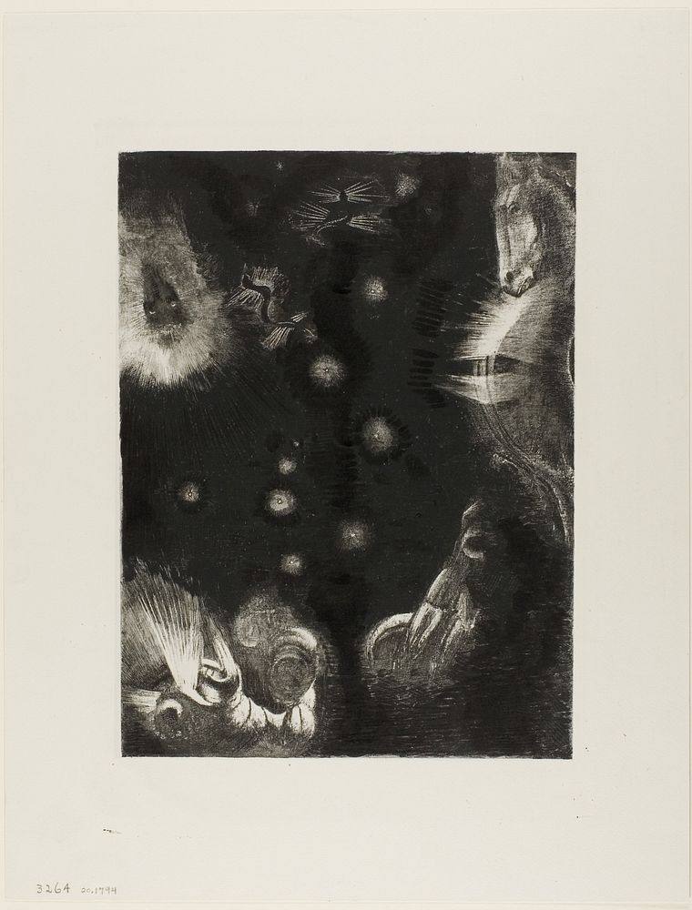 Different Peoples Inhabit the Countries of the Ocean, plate 23 of 24 by Odilon Redon