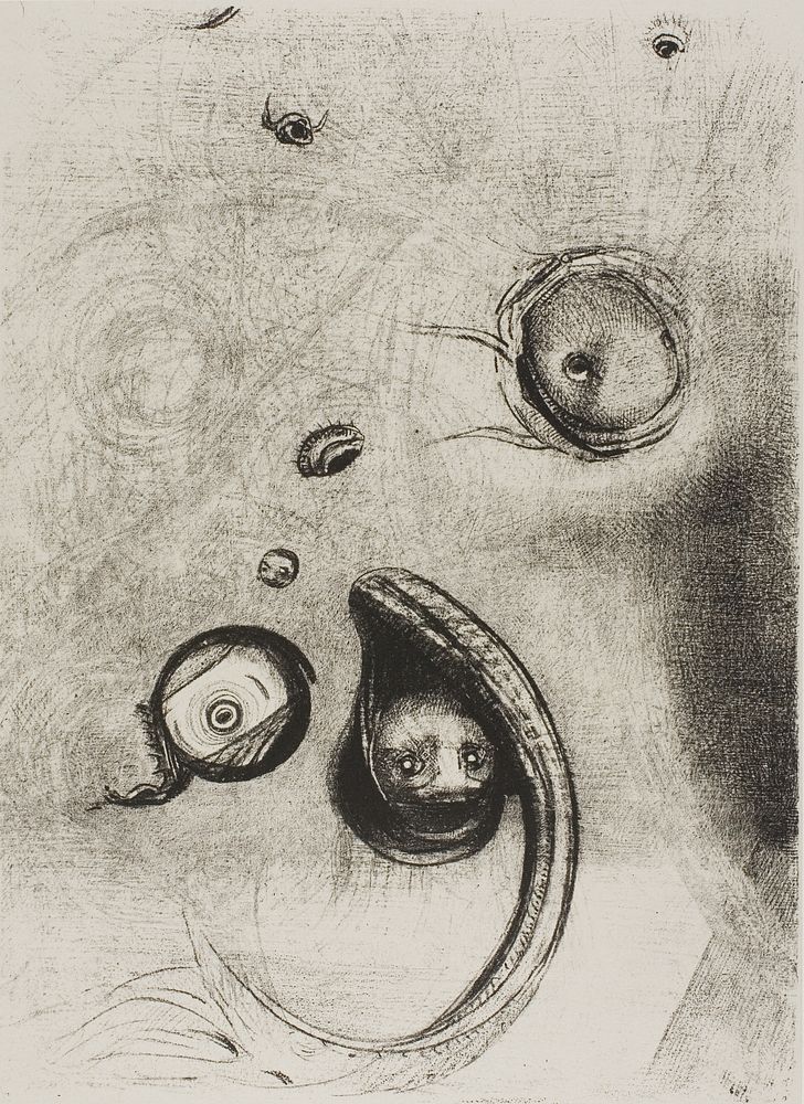 And that Eyes without Heads Were Floating Like Mollusks, plate 13 of 24 by Odilon Redon