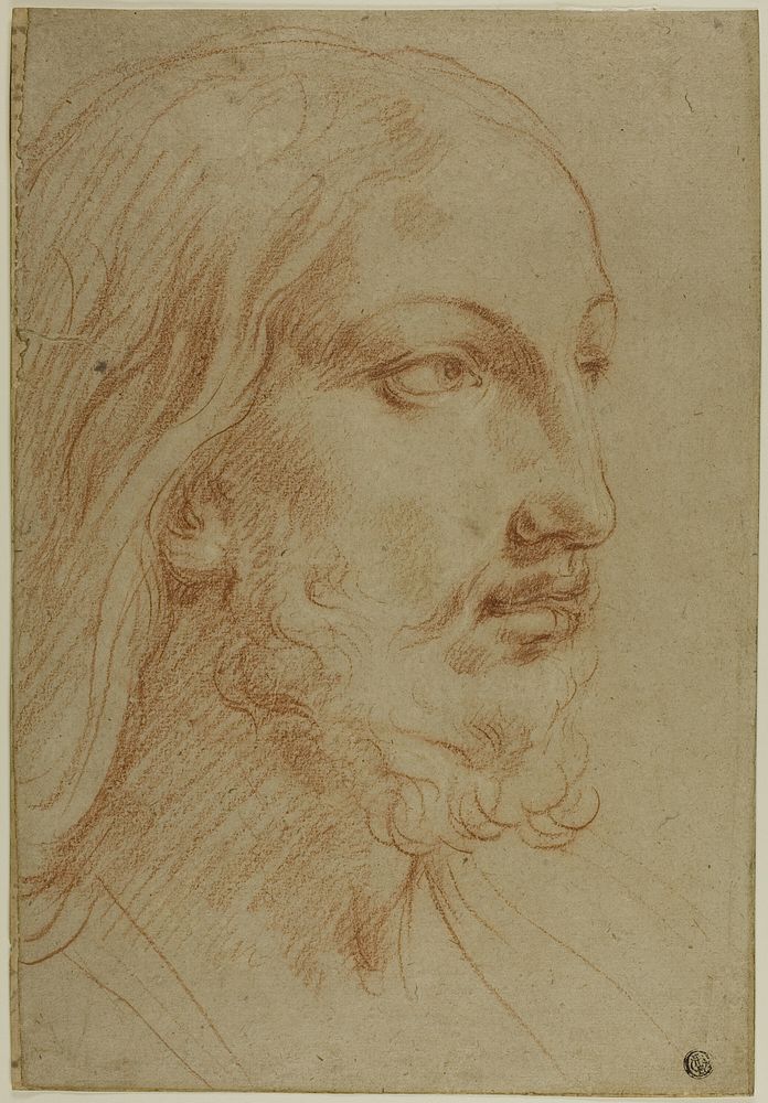 Head of Christ by Giovanni Andrea Sirani
