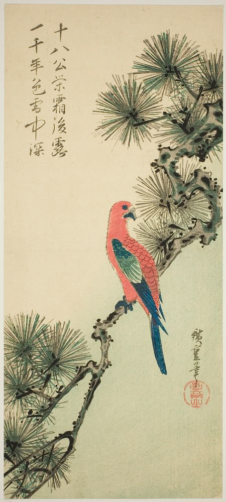 Macaw on a pine branch by Utagawa Hiroshige