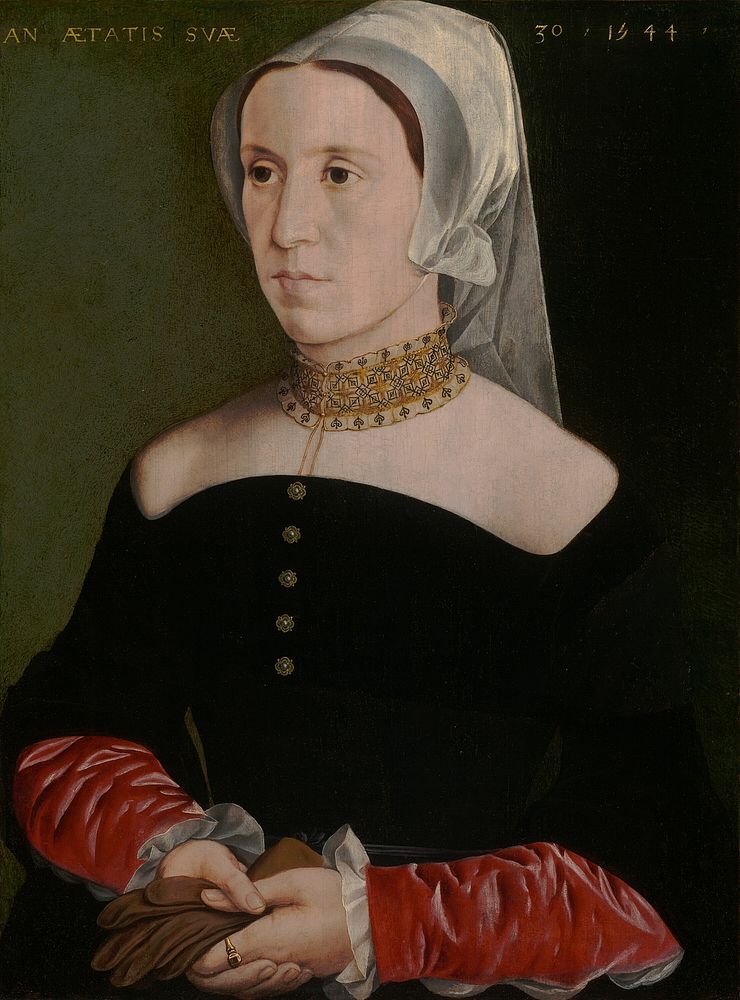 Portrait of a Woman by Master of the 1540s