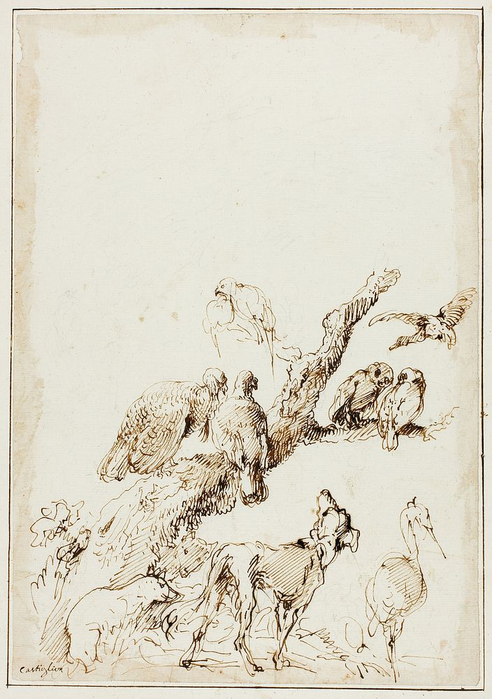 Birds and Animals around a Dead Tree by Giovanni Benedetto Castiglione