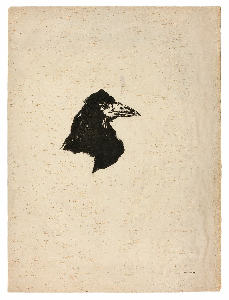 Head of a Raven in Profile, from The Raven (Le Corbeau) by Édouard Manet