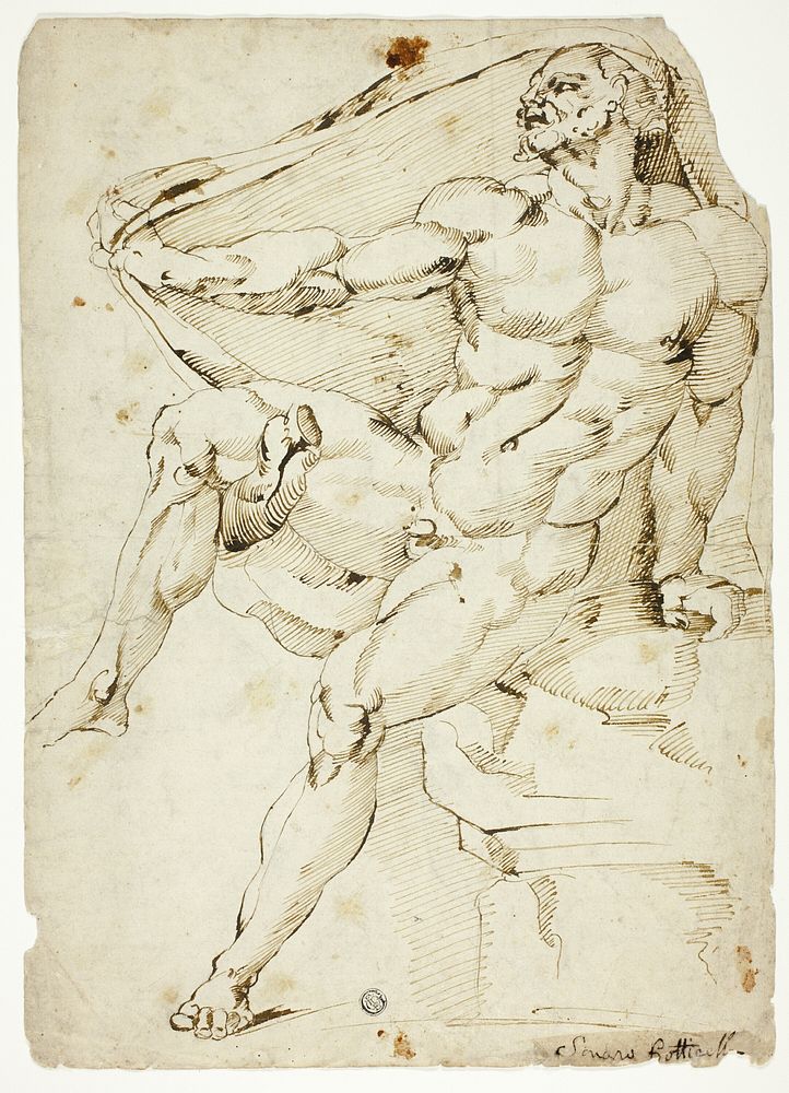 Academic Male Nude Representing Hercules with Nessus's Robe (recto and verso) by Baccio Bandinelli