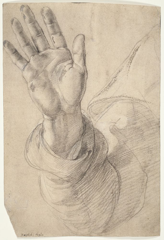 Upraised Right Hand, with Palm Facing Outward: Study for Saint Peter by Raphael