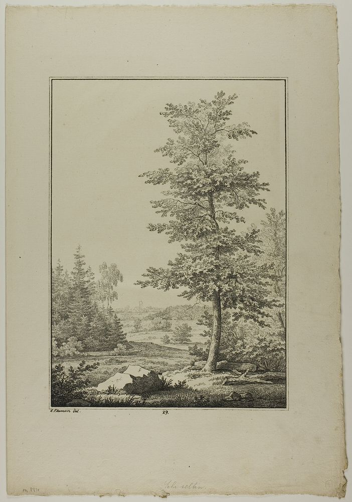 Plate 29 from Blatt Baum und Landschafts Studien by Lorenz Ekemann Alesson