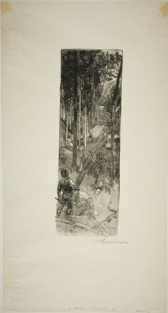 Falling Pines by Louis Auguste Lepère