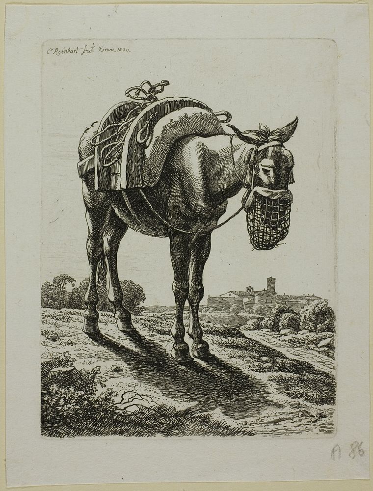 Feeding Mule - Front, from Die Zweite Thierfolge by Johann Christian Reinhart