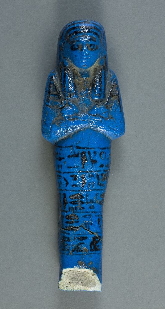 Shabti of the Supreme Chief of the ḫnr.t of Amun Nesikhonsu by Ancient Egyptian