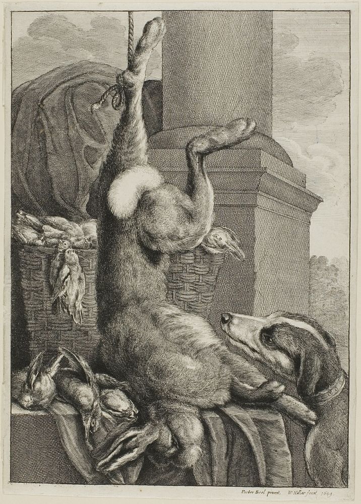Dead Hare by Wenceslaus Hollar