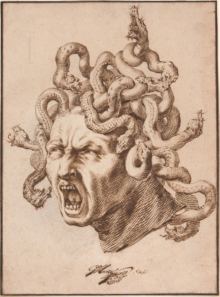Head of Medusa by Godfried Maes