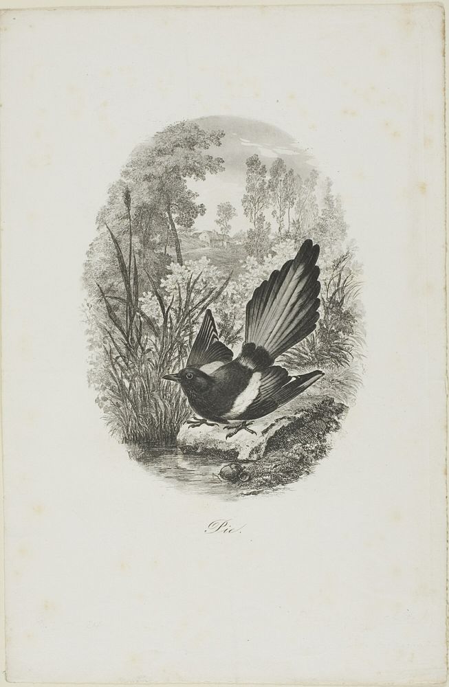 The Magpie by Charles François Daubigny