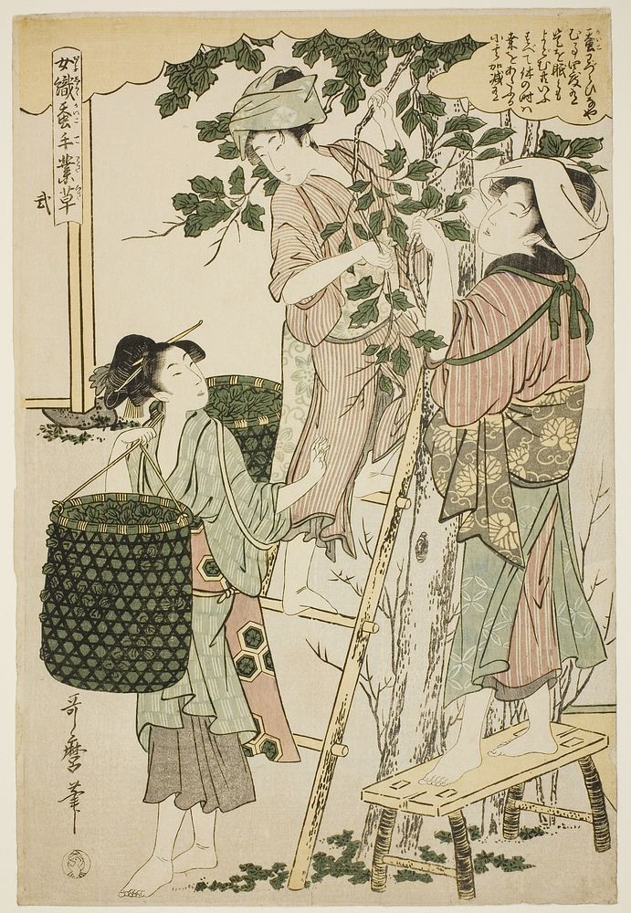 No. 2 (ni), from the series "Women Engaged in the Sericulture Industry (Joshoku kaiko tewaza-gusa)" by Kitagawa Utamaro