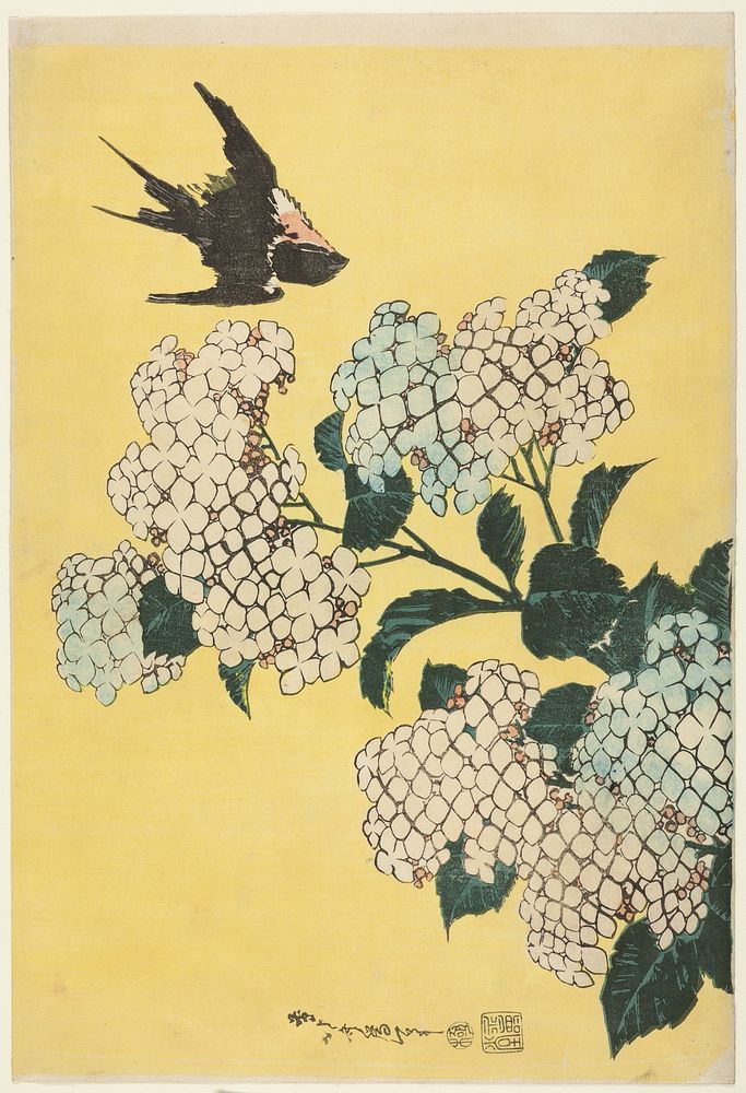 Hydrangea and Swallow, from an untitled series of large flowers by Katsushika Hokusai