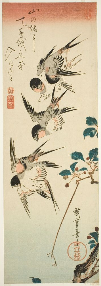 Swallows and Cherry Blossoms by Utagawa Hiroshige