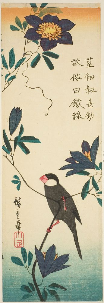 Java sparrow and clematis by Utagawa Hiroshige