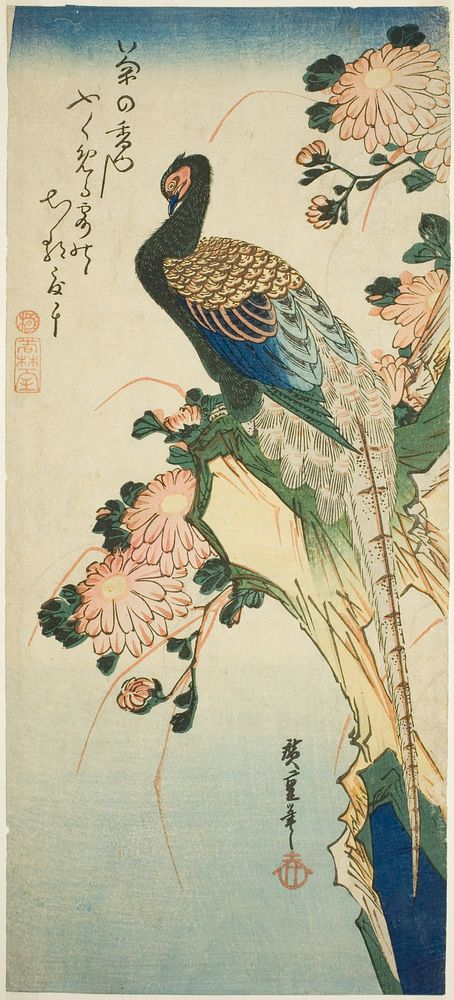 Pheasant and chrysanthemums by Utagawa Hiroshige