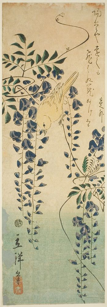 Canary and wisteria by Utagawa Hiroshige II (Shigenobu)