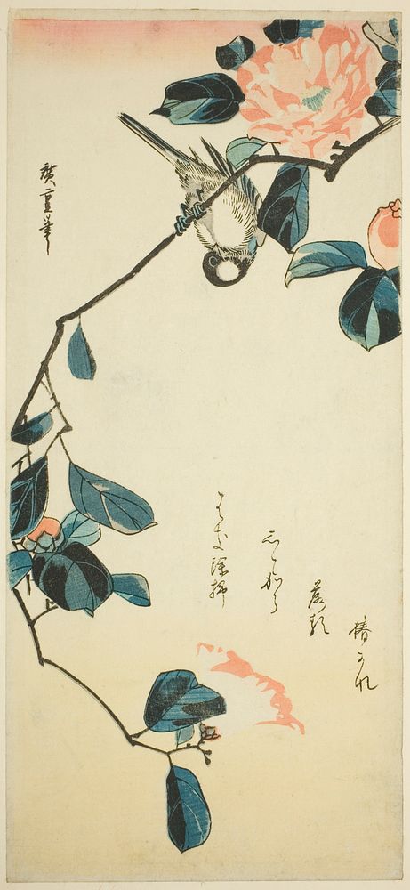 Bullfinch on camellia branch by Utagawa Hiroshige