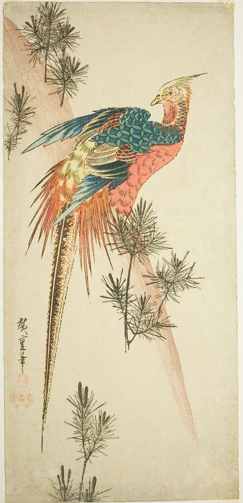 Golden pheasant and pine shoots in snow by Utagawa Hiroshige